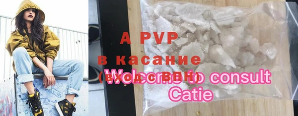 прущие грибы Армянск