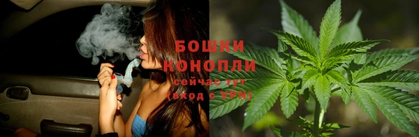 прущие грибы Армянск