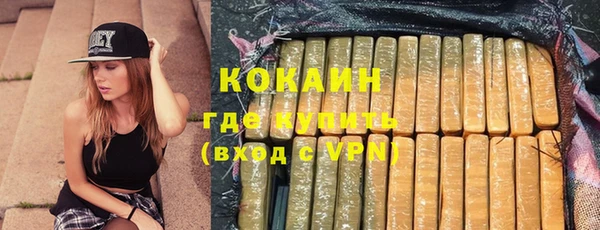прущие грибы Армянск