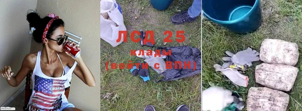 прущие грибы Армянск