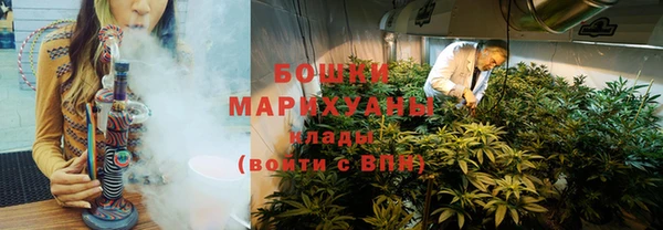 прущие грибы Армянск