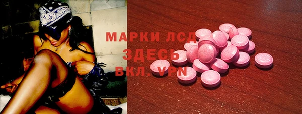 прущие грибы Армянск