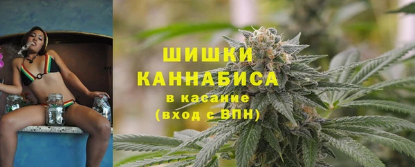 прущие грибы Армянск