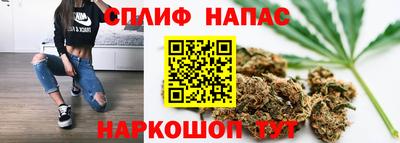 мдпв Обь