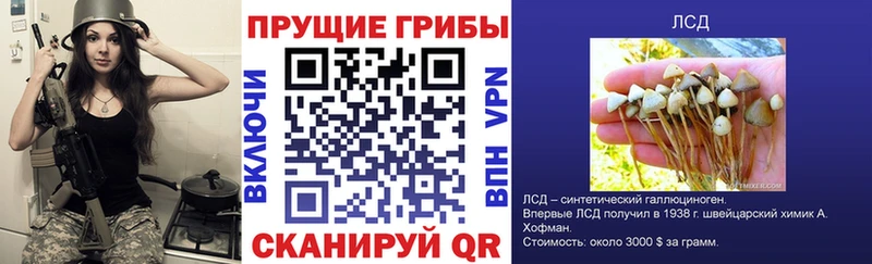 Псилоцибиновые грибы мухоморы  Якутск 