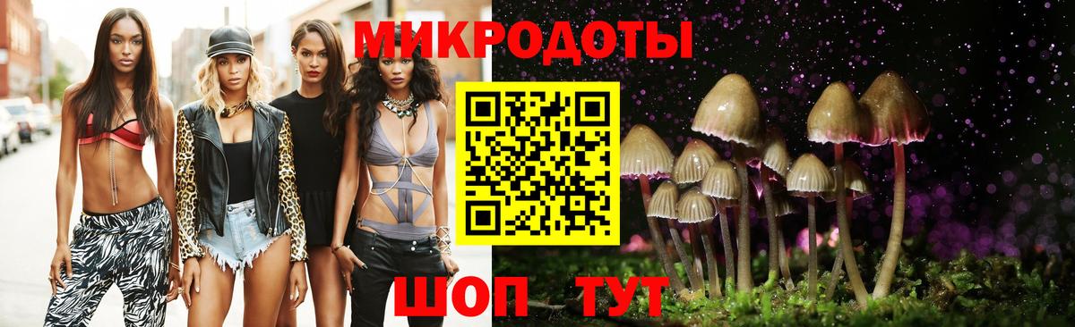 Псилоцибиновые грибы GOLDEN TEACHER  Вход с VPN  наркотики  Псилоцибиновые грибы Magic Shrooms  Якутск 