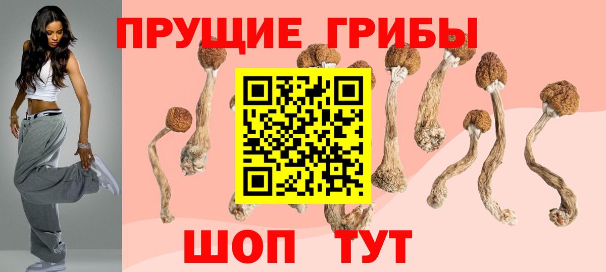 Галлюциногенные грибы Psilocybe Якутск